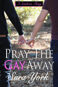Pray The Gay Away Book Cover